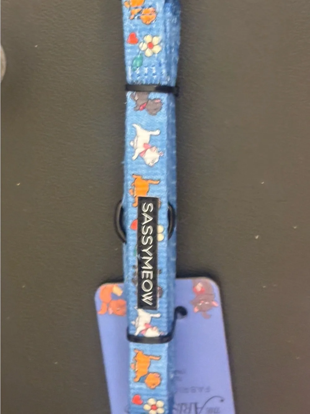 Disney Sassy Meow Aristrocat  4’ Pet Leash